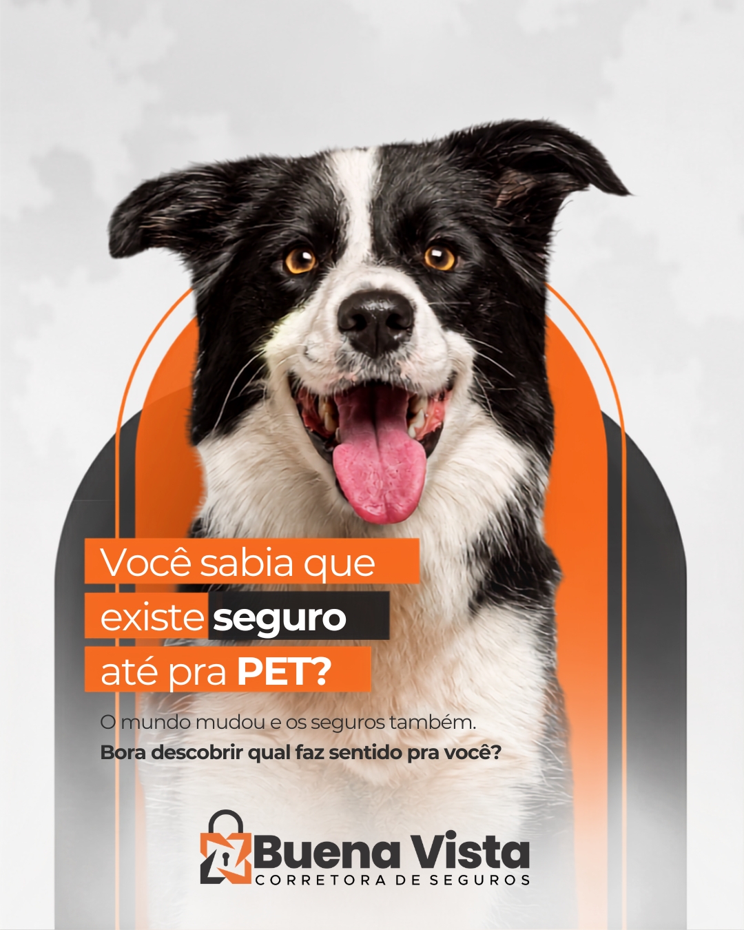 buenavistaseguros_752497517_1564848902099382_9130105925494686766_n